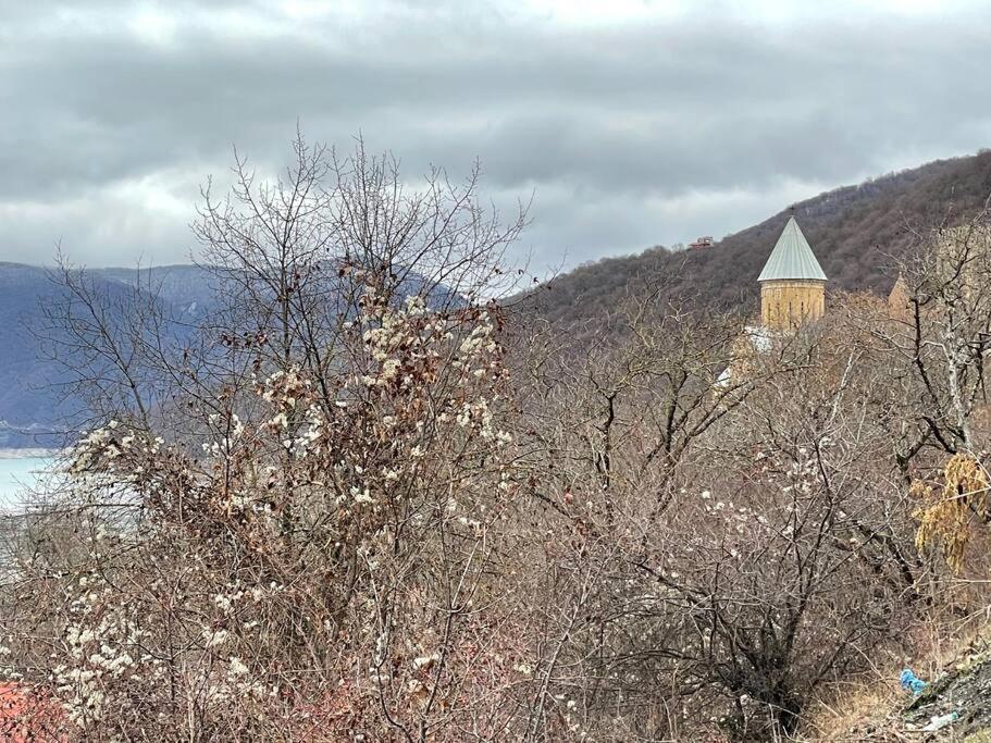 ❆Cozy, 4 Br. Villa In Ananuri❆ 외부 사진